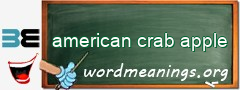 WordMeaning blackboard for american crab apple